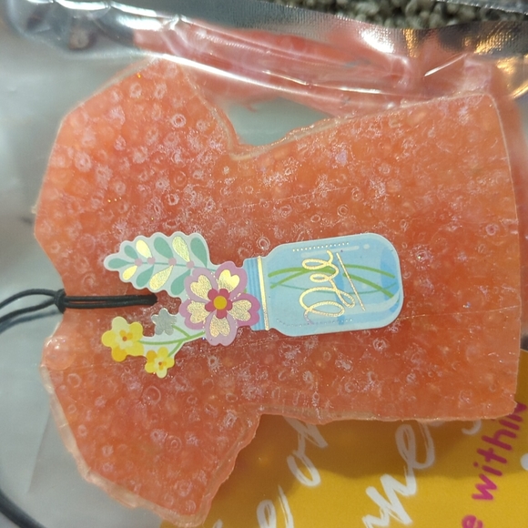 Unicorn and t-shirt angel love and Apple jacks air fresheners - Picture 2 of 9